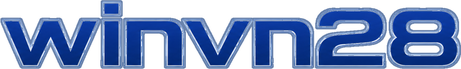 winvn28